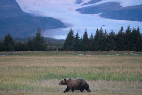 viaggio fotografico in Alaska con Photoprisma